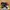 Adidas Casual Sneakers Kids black photo 1