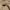 Burberry Vintage Casual Casual pants Pria tan photo 4
