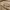 Burberry Vintage Casual Casual pants Pria tan photo 5