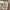Uniqlo Streetwear Y2K T-shirt Kids multicolor white photo 4