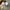 Vans Skater Casual Sneakers Pria white photo 3