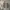Vans Skater Casual Sneakers Pria white photo 4