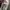 Vans Skater Casual Sneakers Pria white photo 5