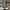 Adidas Sportswear Casual Sneakers Pria white black photo 4