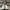 Adidas Sportswear Casual Sneakers Pria white black photo 2
