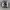 Streetwear Gorpcore Sneakers Pria white black photo 4