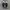 Streetwear Gorpcore Sneakers Pria white black photo 2