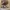 Disney Streetwear Boots Kids brown photo 1