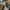 Off-White Streetwear Casual T-shirt Pria multicolor photo 1