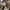 Off-White Streetwear Casual T-shirt Pria Multicolor