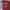 Coach Luxury Bags & purse Wanita burgundy red photo 3