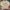 Umbro Vintage Casual T-shirt Pria gray photo 1