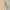 Burberry Vintage Casual T-shirt Pria gray photo 5