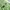 Polo Ralph Lauren Avant Garde Minimalist Brief Pria green photo 5