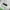 Polo Ralph Lauren Avant Garde Minimalist Brief Pria green photo 7