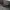 National Geographic Avant Garde Minimalist Brief Pria gray photo 5