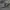 National Geographic Avant Garde Minimalist Brief Pria gray photo 8
