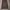 Uniqlo Vintage Coquette Skirt Wanita brown photo 1