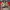 Adidas Vintage Casual Jersey Pria red gray photo 3
