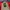 Adidas Vintage Casual Jersey Pria red gray photo 5