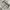 Teenie Weenie Avant Garde Minimalist Blouse Wanita gray photo 5