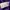 KIRSH Casual Sweatshirt Pria purple photo 5