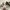 New Balance Sportswear Sneakers Pria Gray