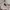 Polo Ralph Lauren Avant Garde Minimalist Formal shirt Pria white brown photo 6