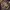 Carhartt Vintage Y2K Hoody Pria brown photo 3