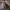 Carhartt Vintage Y2K Hoody Pria brown photo 6