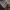 Carhartt Vintage Y2K Hoody Pria brown photo 7