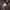 Carhartt Vintage Y2K Hoody Pria brown photo 2
