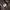 Carhartt Vintage Y2K Hoody Pria Brown