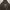 Carhartt Vintage Streetwear Hoody Pria Brown