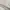 Lacoste Avant Garde Minimalist Hoody Pria gray photo 6