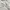 Lacoste Avant Garde Minimalist Hoody Pria gray photo 3