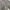Avant Garde Minimalist Cardigan Wanita gray photo 7