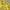 Polo Ralph Lauren Avant Garde Minimalist Cardigan Pria yellow navy photo 4