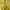 Polo Ralph Lauren Avant Garde Minimalist Cardigan Pria yellow navy photo 8