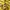 Polo Ralph Lauren Avant Garde Minimalist Cardigan Pria yellow navy photo 7