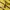Polo Ralph Lauren Avant Garde Minimalist Cardigan Pria yellow navy photo 5