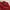 Polo Ralph Lauren Avant Garde Minimalist Cardigan Wanita red photo 6
