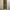 Dickies Biker Casual Casual pants Pria tan photo 1
