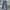 Dickies Y2K Casual Casual Pants Pria Blue Gray