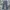 Dickies Y2K Casual Casual Pants Pria Blue Gray