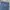 Dickies Y2K Casual Casual pants Pria blue gray photo 3