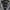 MLB Sportswear Varsity Jacket Pria Navy Gray