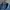INED Luxury Formal shirt Pria navy photo 5