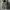 Gorpcore Biker Windbreaker Pria gray photo 3