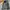 Gorpcore Biker Windbreaker Pria gray photo 1